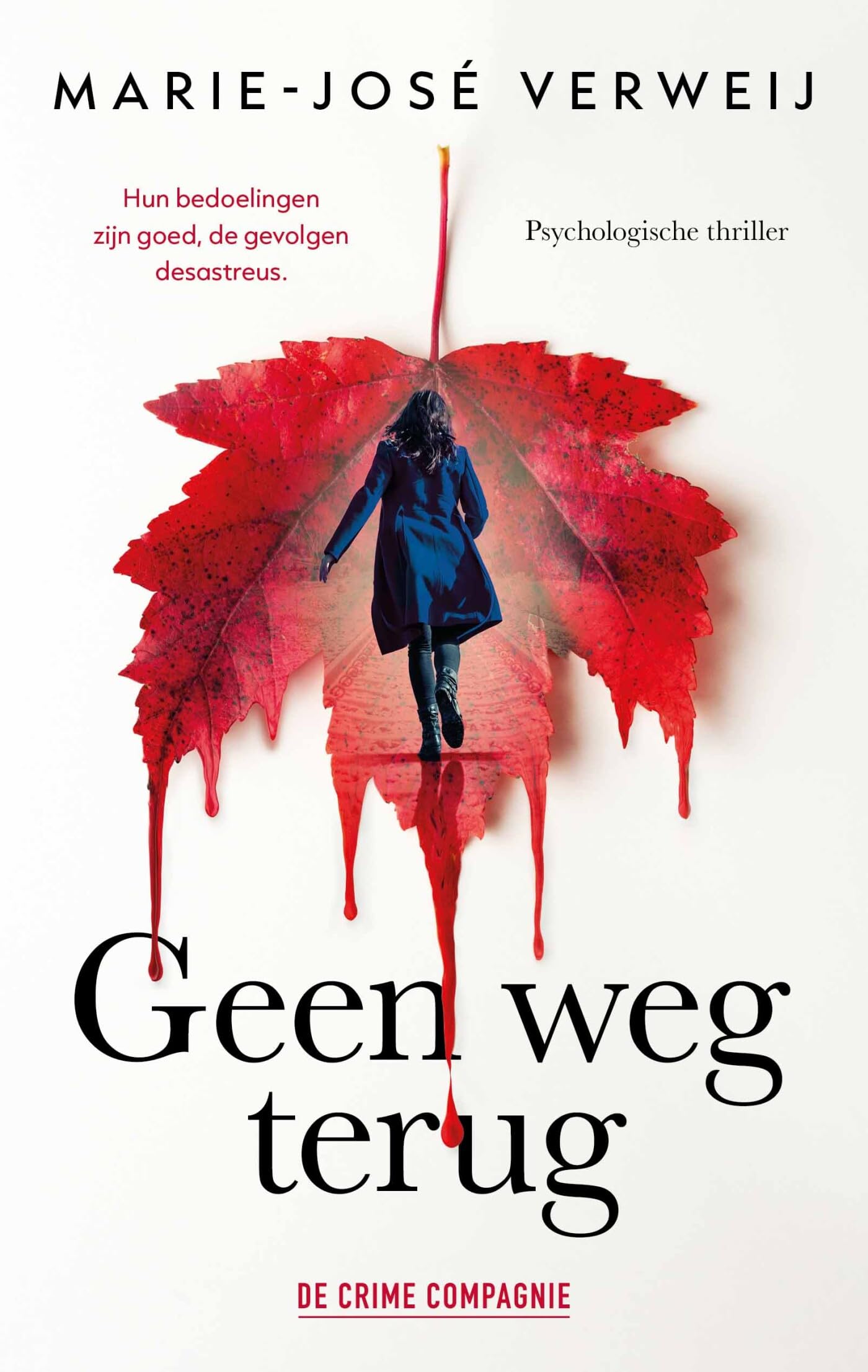 Geen weg terug book