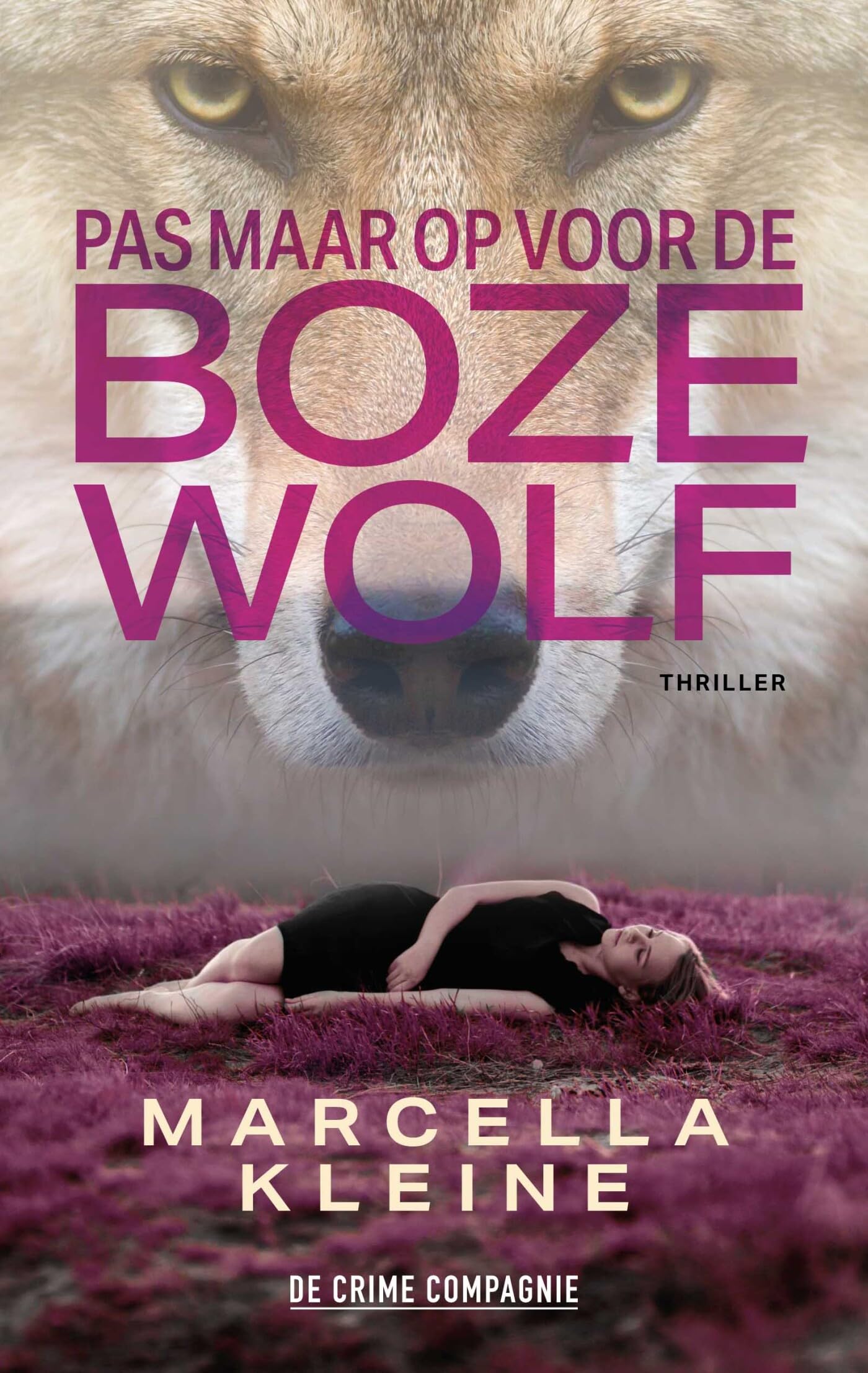 Pas maar op voor de boze wolf book