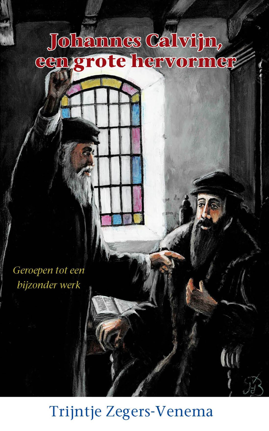 Johannes Calvijn, een grote hervormer book