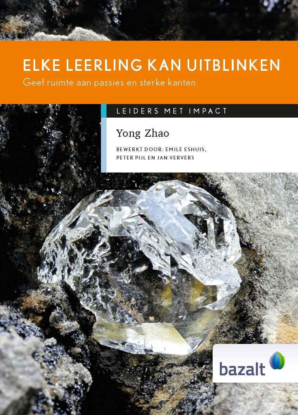 Elke leerling kan uitblinken: geef ruimte aan passies en sterke kanten book