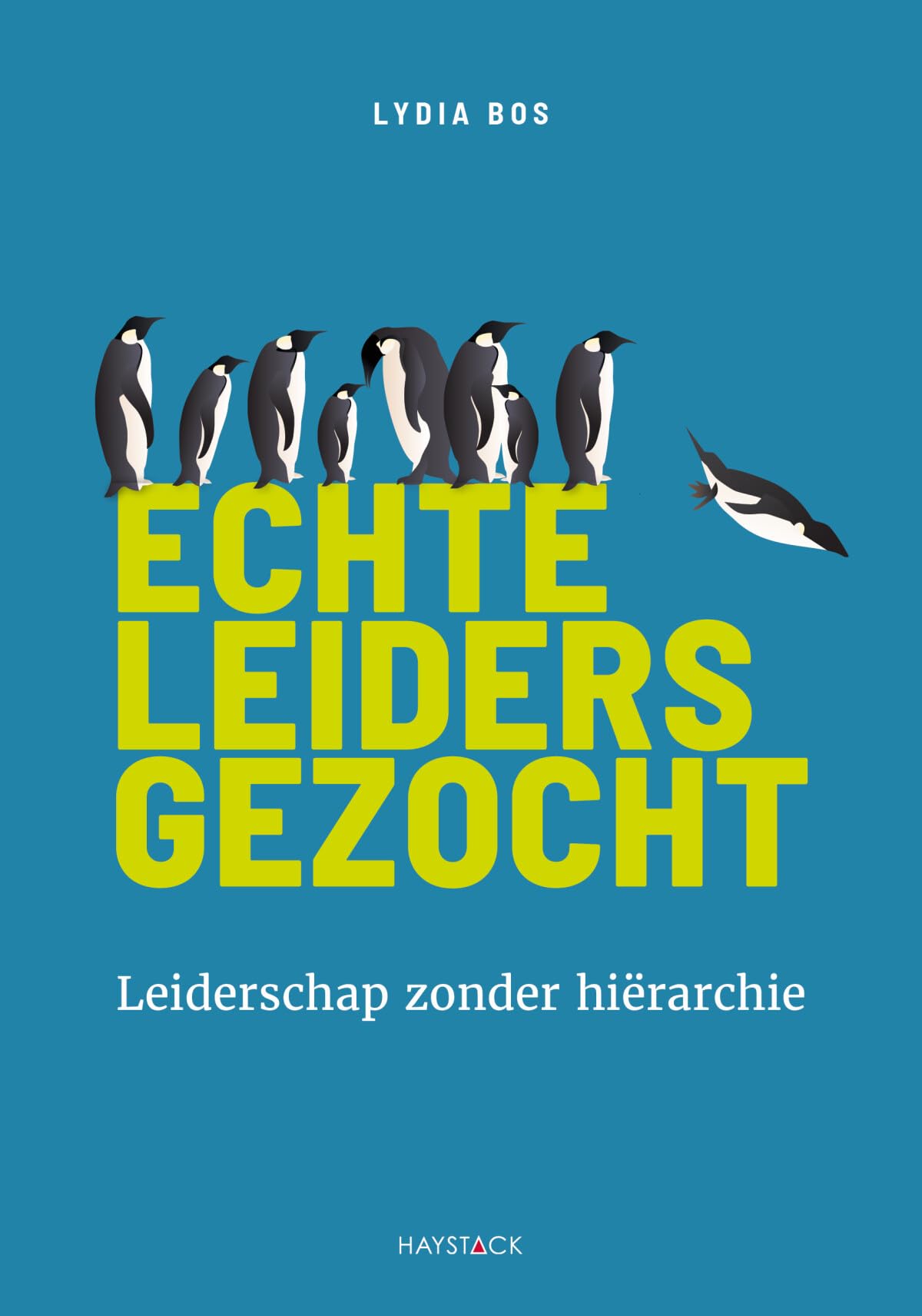 Echte leiders gezocht: leiderschap zonder hiërarchie book