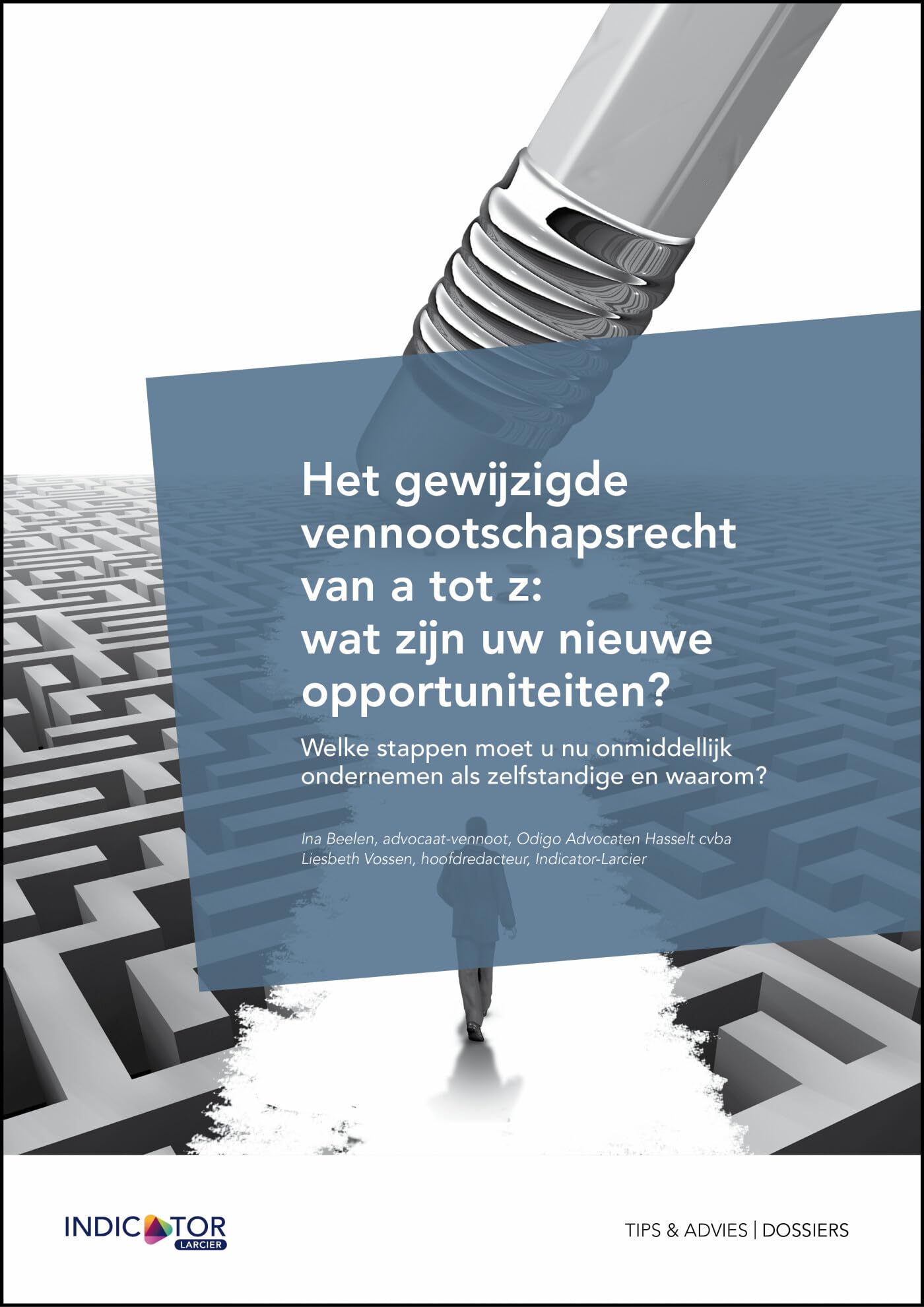 Het gewijzigde vennootschapsrecht van a tot z: wat zijn uw nieuwe opportuniteiten?: Welke stappen moet u nu onmiddellijk ondernemen als zelfstandige en waarom? (Reeks Tips & Advies) Books