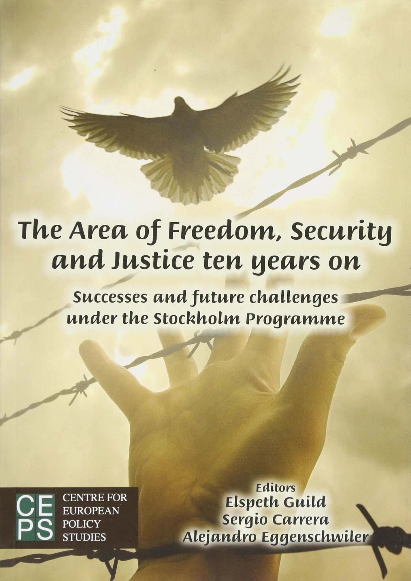 The Area of Freedom, Security and Justice Ten Years on: Successes and Future Challenges Under the Stockholm Programme book
