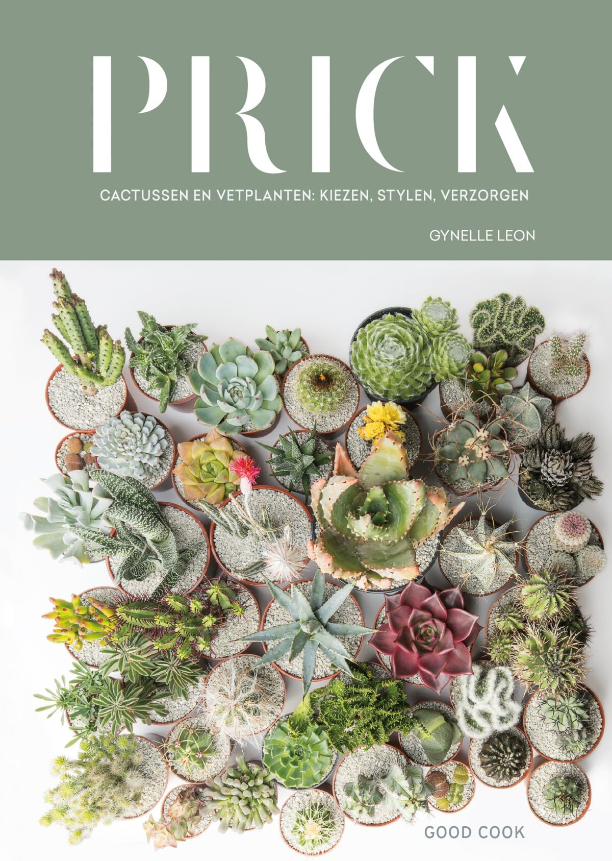 Prick: cactussen en vetplanten : kiezen, stylen, verzorgen Garden & Plants
