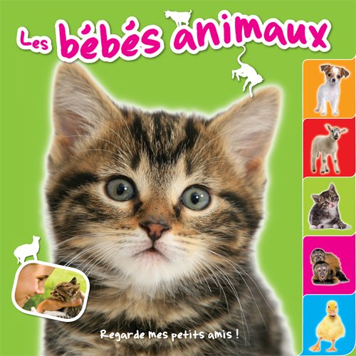 Les bébés animaux: regarde mes petits amis ! book