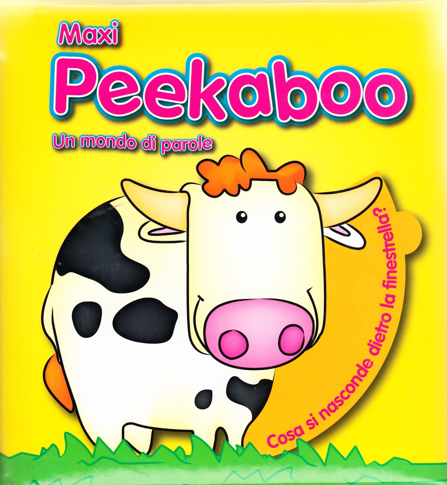 Un mondo di parole. Maxi Peekaboo. Ediz. illustrata: MAXI PEEKABOO-WORDS Non-fiction