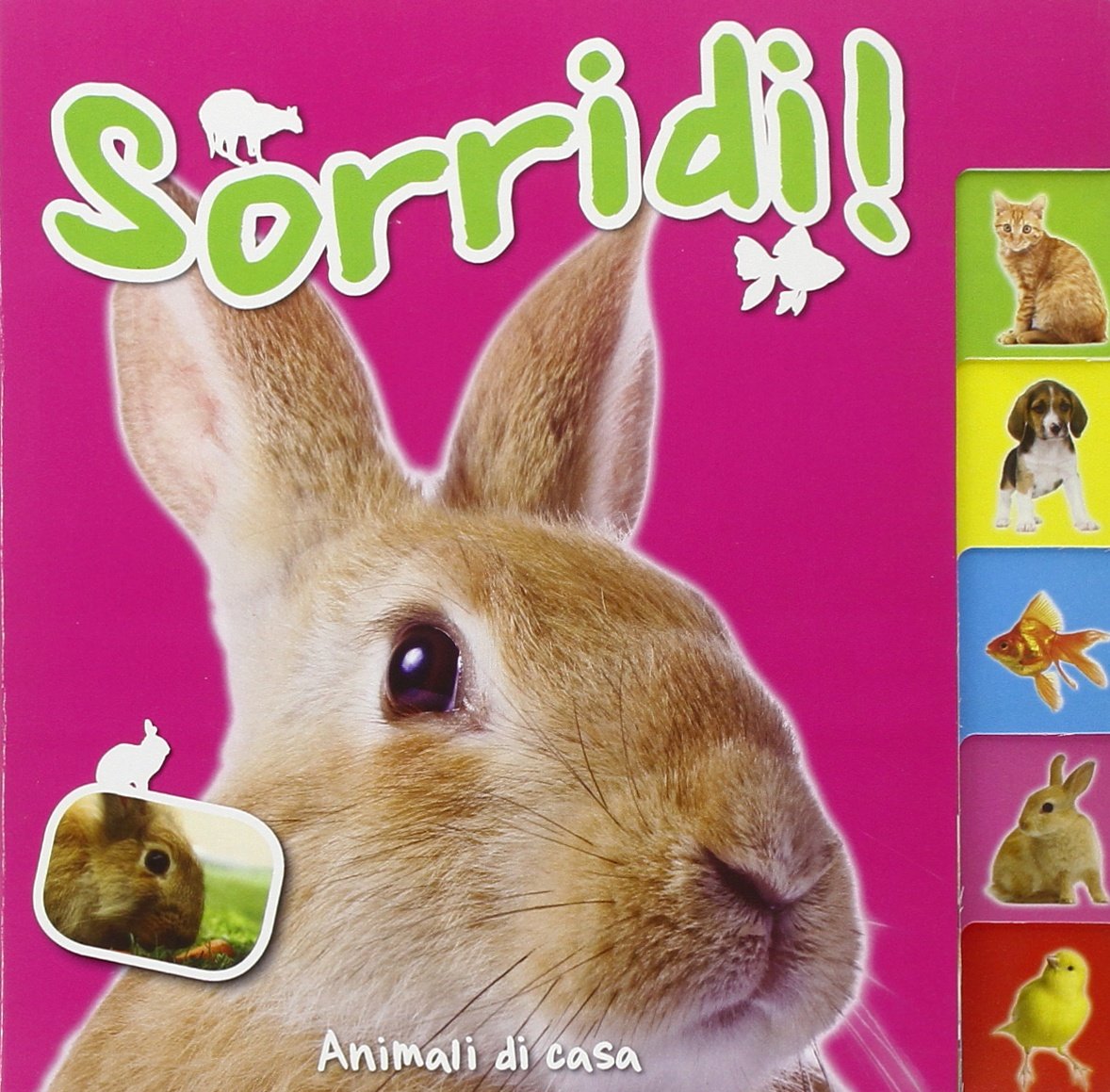 Animali di casa. Sorridi! Ediz. illustrata: Say cheese-Pets-ITA Non-fiction