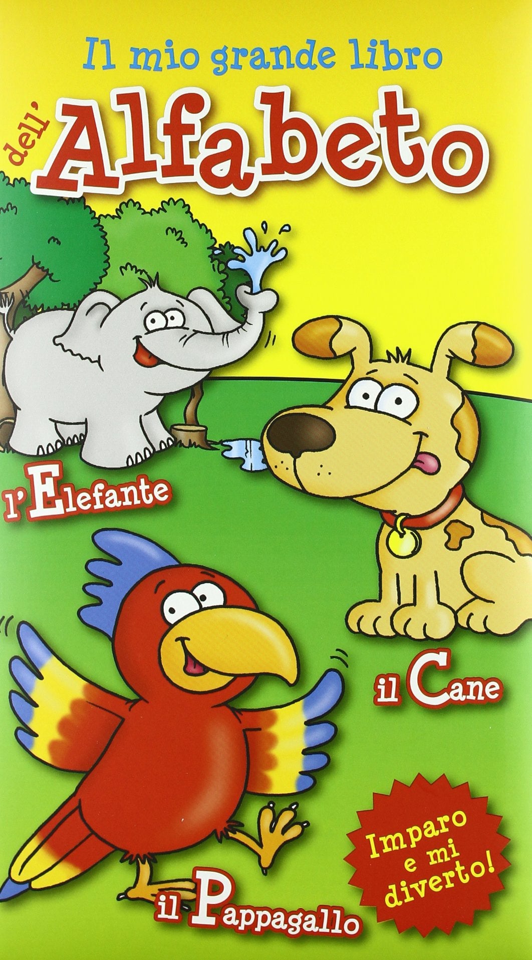 L'alfabeto. Il mio grande libro. Ediz. illustrata (Imparo divertendomi) Non-fiction