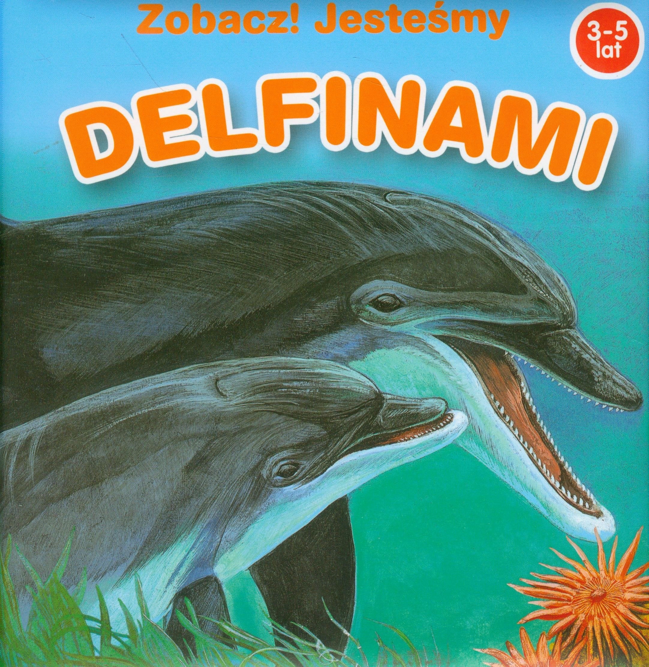 Zobacz! Jesteśmy Delfinami: 3-5 lat Books
