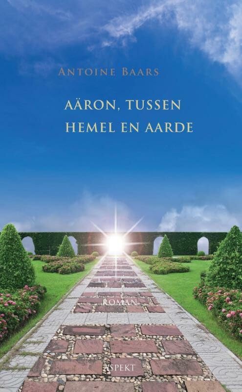 Aäron, tussen hemel en aarde: roman book