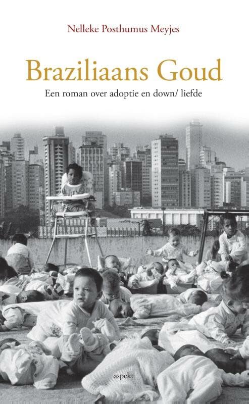 Braziliaans goud: een roman over adoptie en down/liefde book