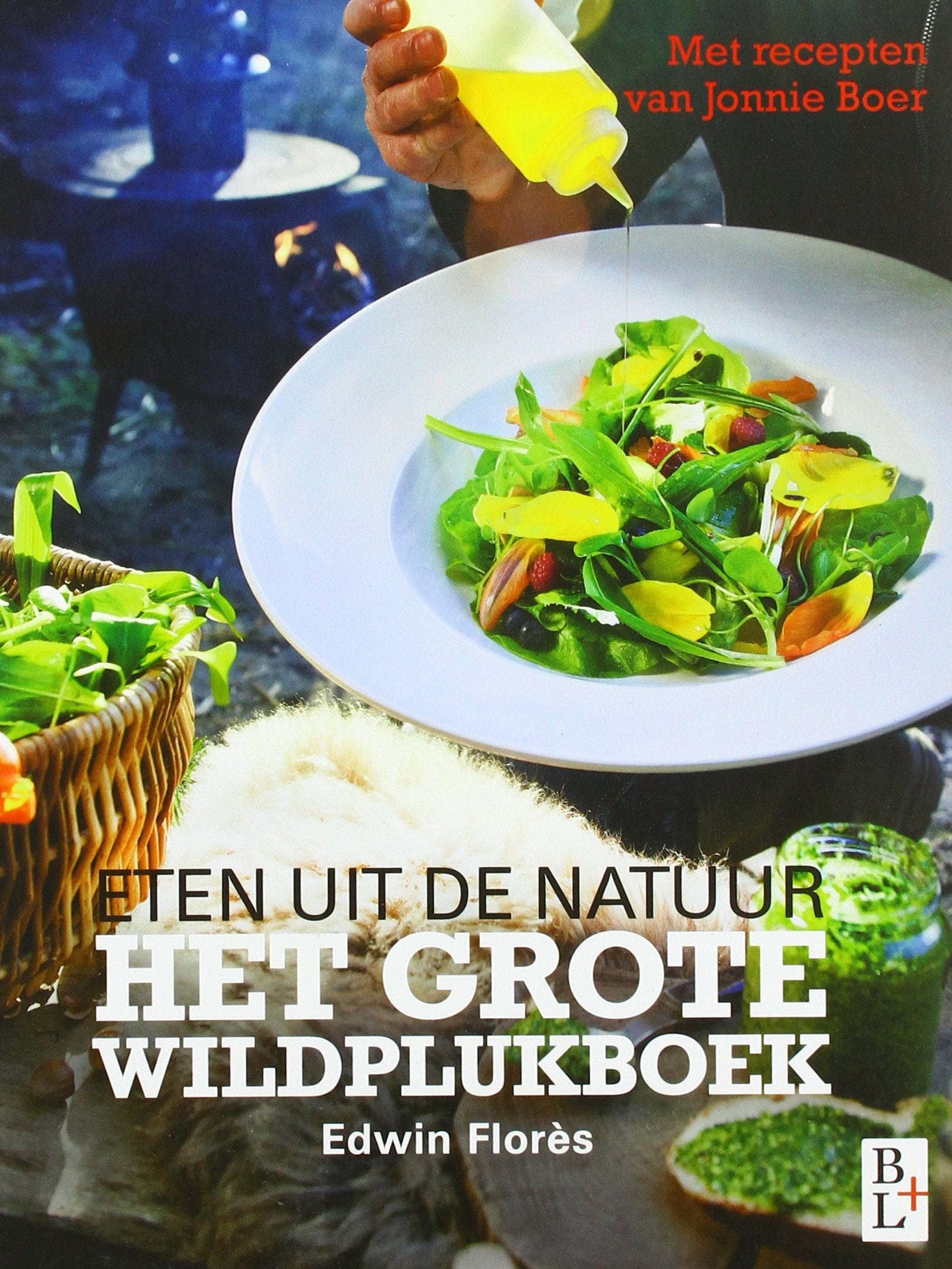 Het grote wildplukboek: eten uit de natuur book