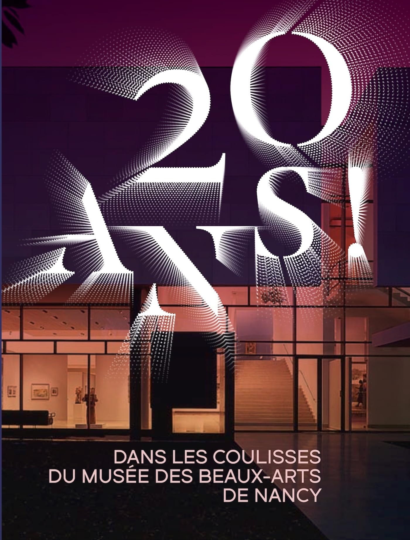 20 ans ! Dans les coulisses du Musée des Beaux-Arts de Nancy book