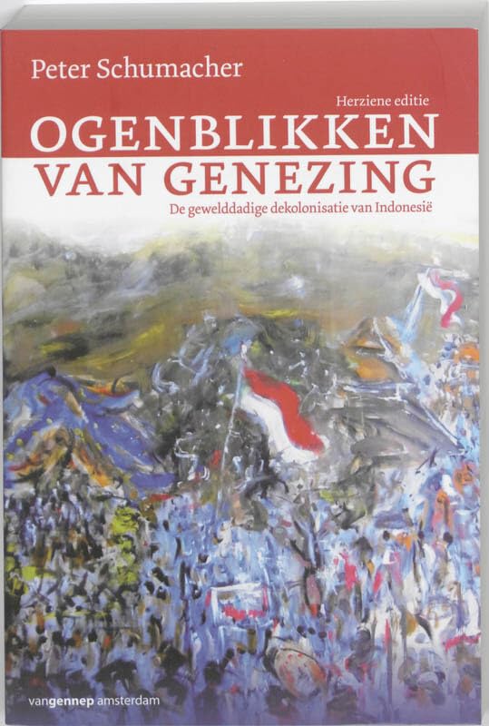 Ogenblikken van genezing: de gewelddadige dekolonisatie van Indonesië book