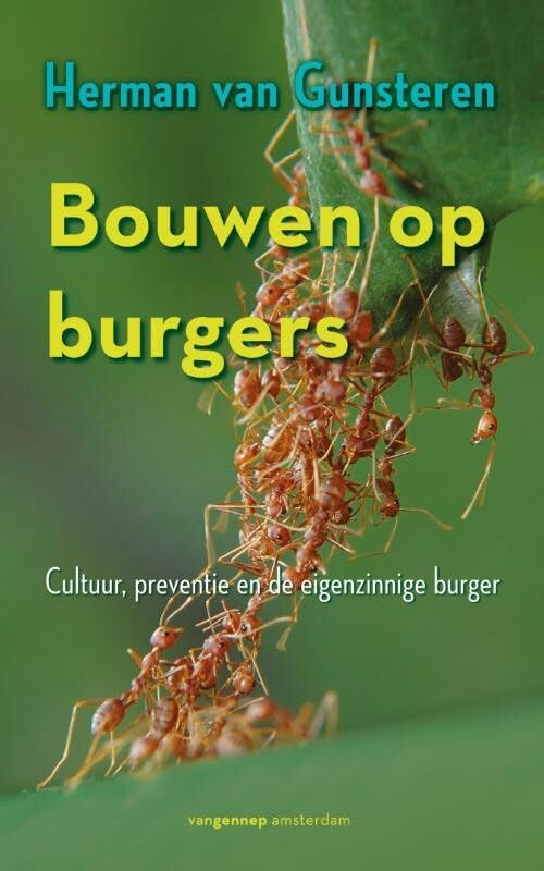 Bouwen op burgers: cultuur, preventie en de eigenzinnige burger book