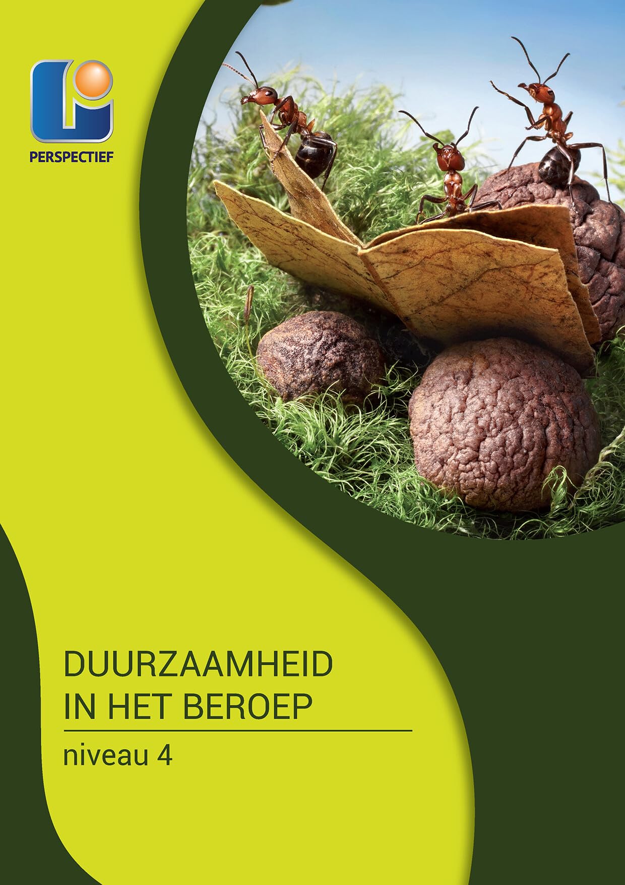 Niveau 4 MBO-KD-K0031 book