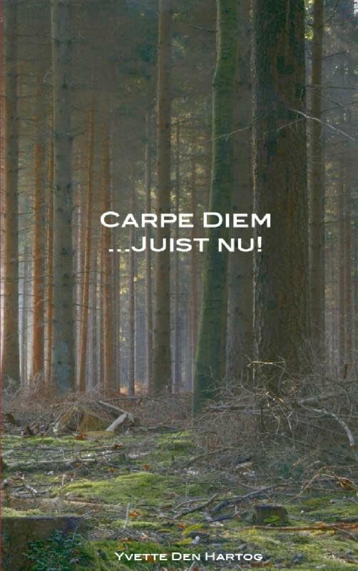 Carpe Diem juist nu! book