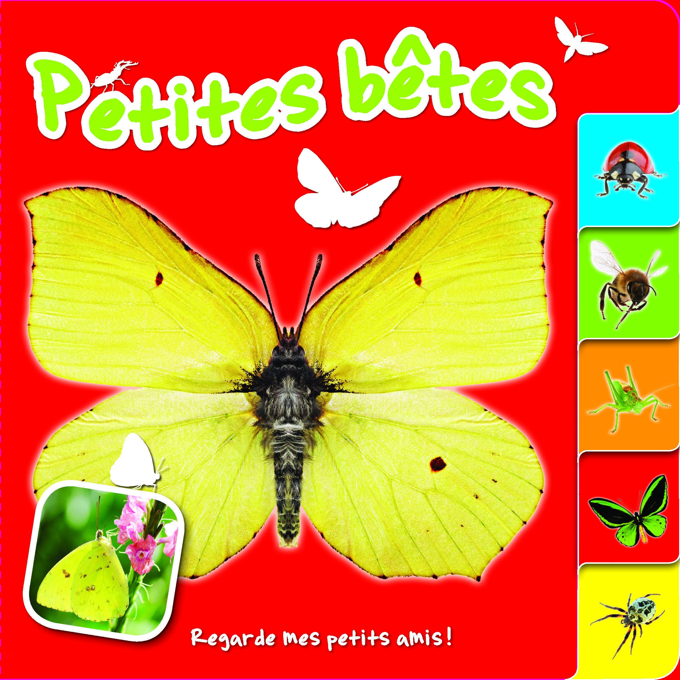 Petites bêtes - regarde mes petits amis book