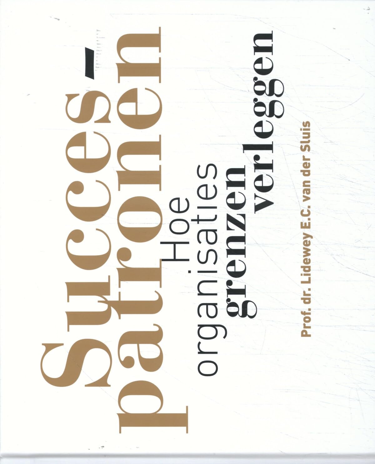 Succespatronen: hoe organisaties grenzen verleggen book