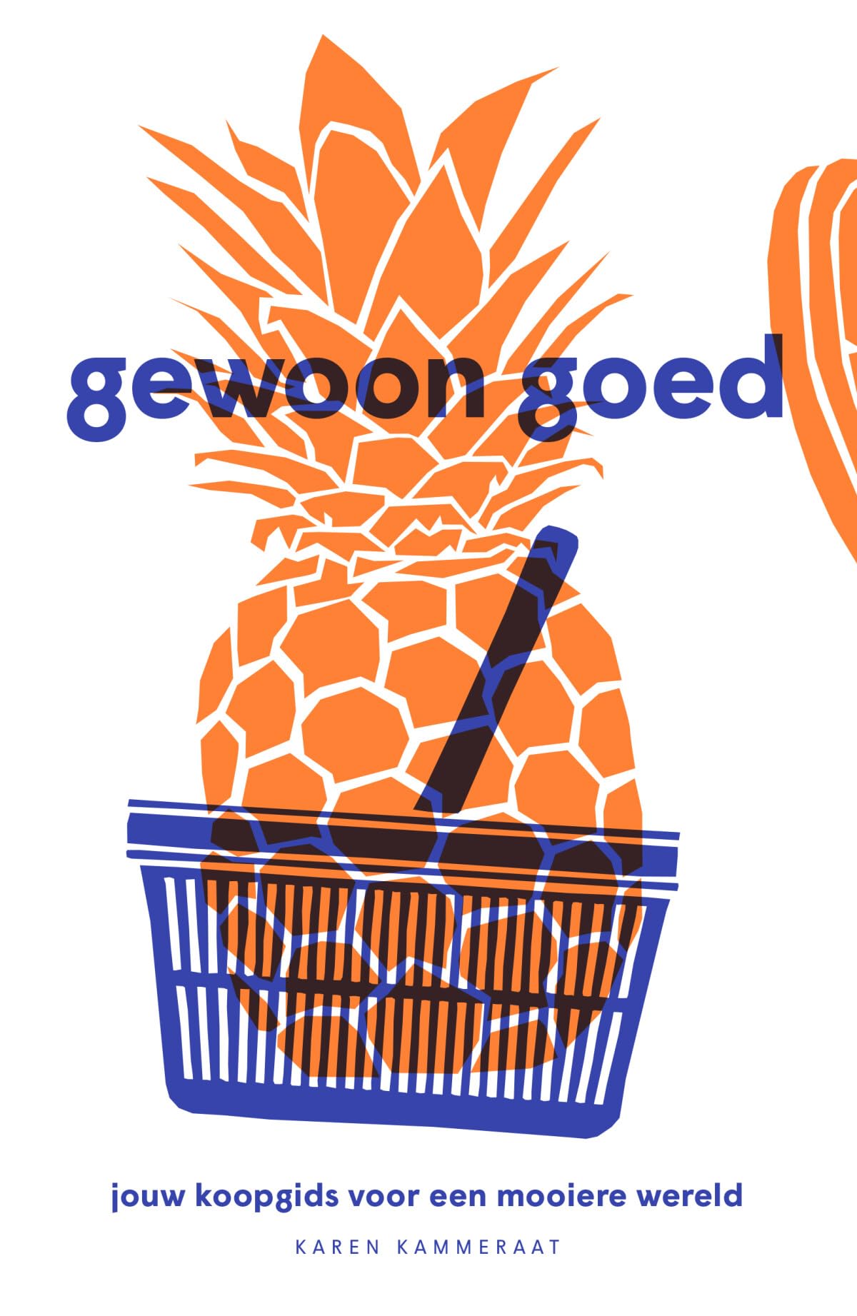 Gewoon goed: jouw koopgids voor een mooiere wereld book