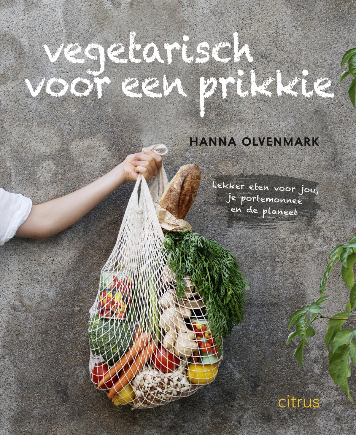 Vegetarisch voor een prikkie: lekker eten voor jou, je portemonnee en de planeet Leisure, Home & Garden