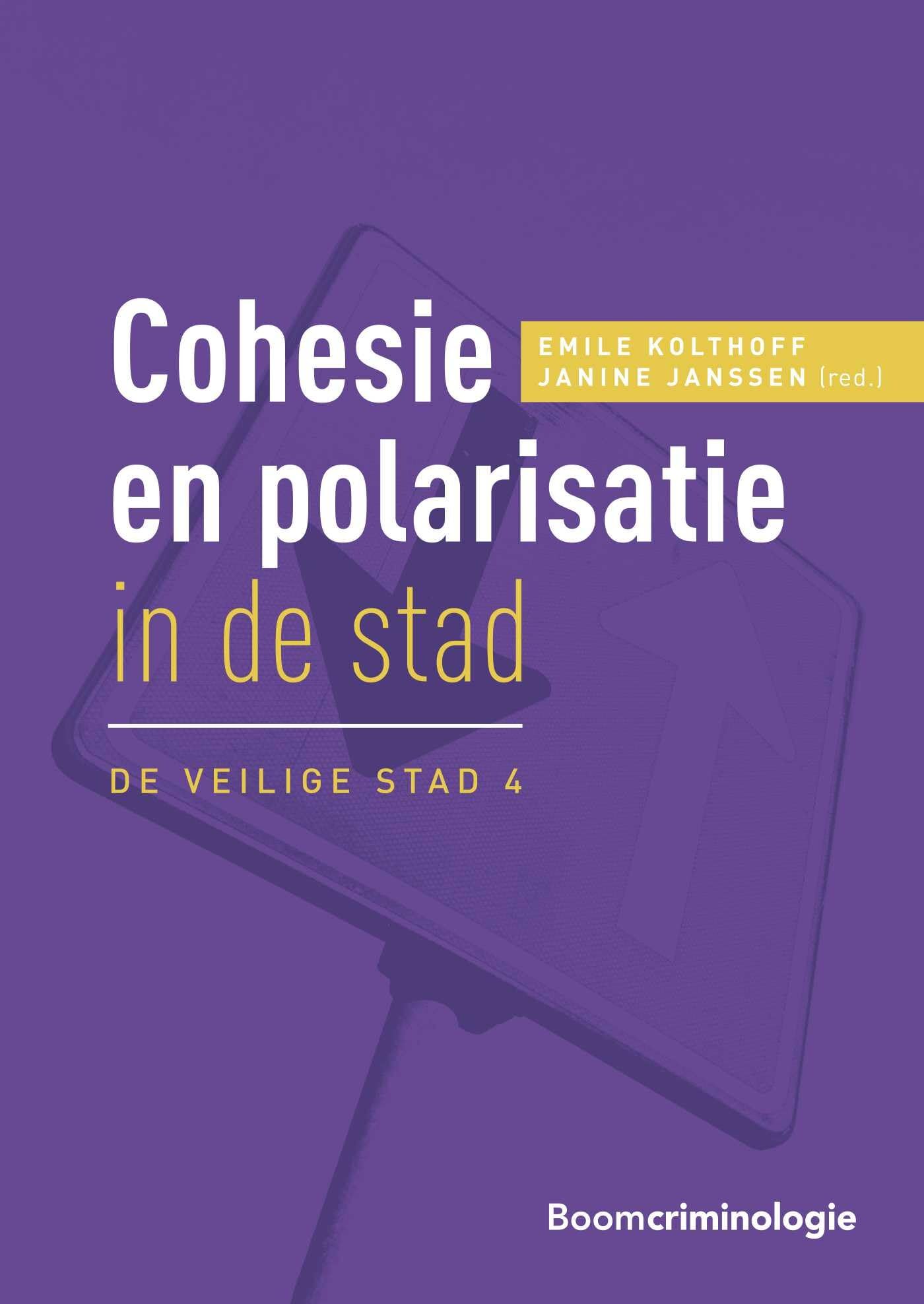 Cohesie en polarisatie in de stad book