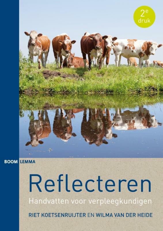 Reflecteren: handvatten voor verpleegkundigen book