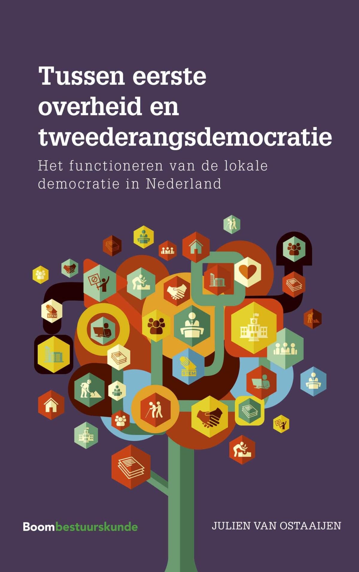 Tussen eerste overheid en tweederangsdemocratie: het functioneren van de lokale democratie in Nederland book