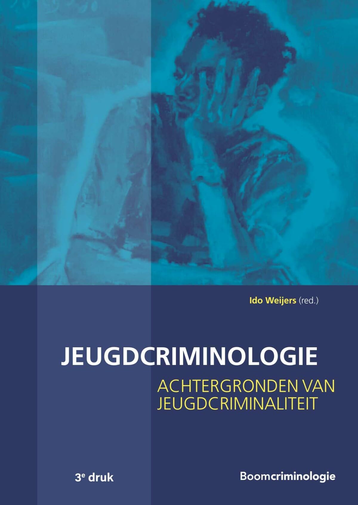Jeugdcriminologie: achtergronden van jeugdcriminaliteit book