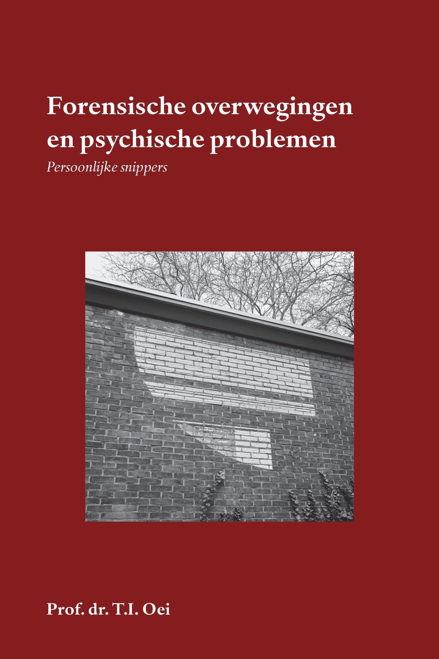 Forensische overwegingen en psychische problemen: persoonlijke snippers Reference Books