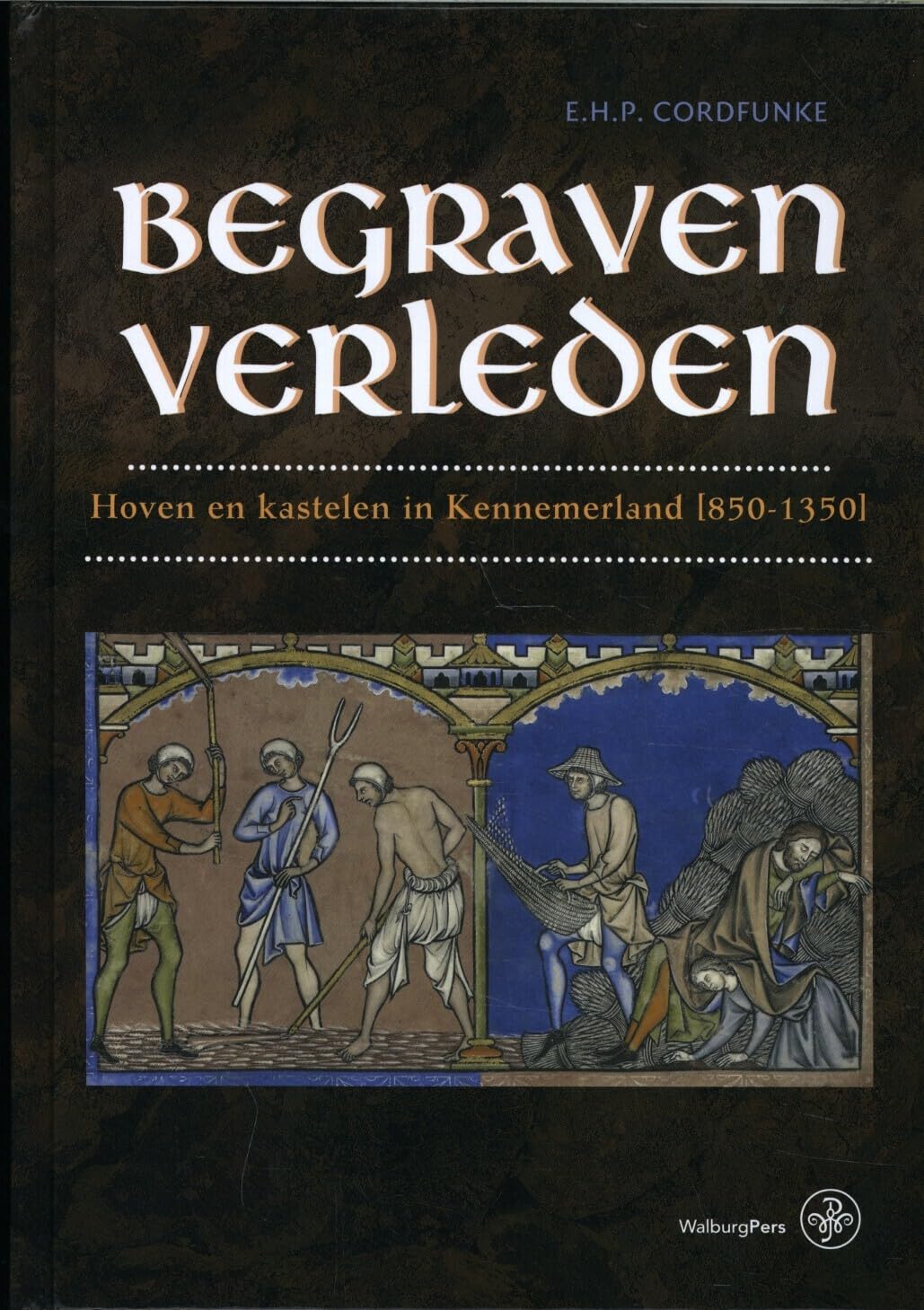 Begraven verleden: hoven en kastelen in Kennemerland book