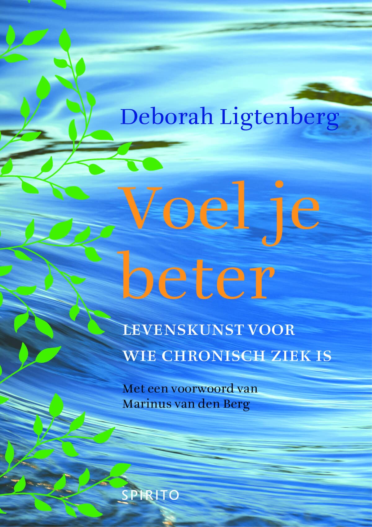 Voel je beter: levenskunst voor wie chronisch ziek is book