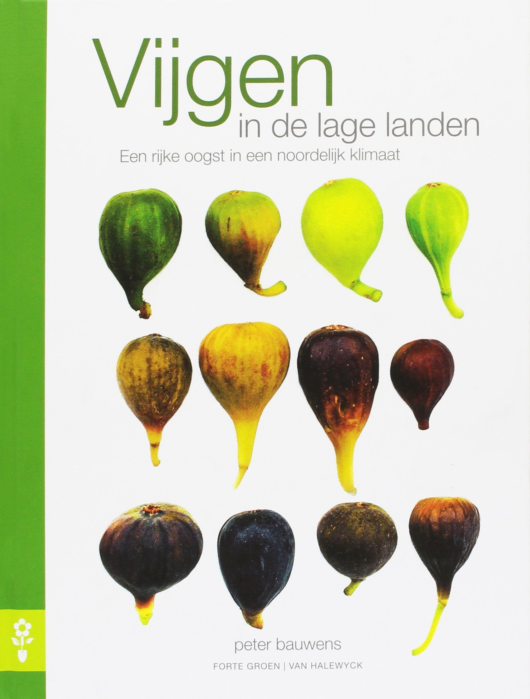 Vijgen in de lage landen: een rijke oogst in een noordelijk klimaat book