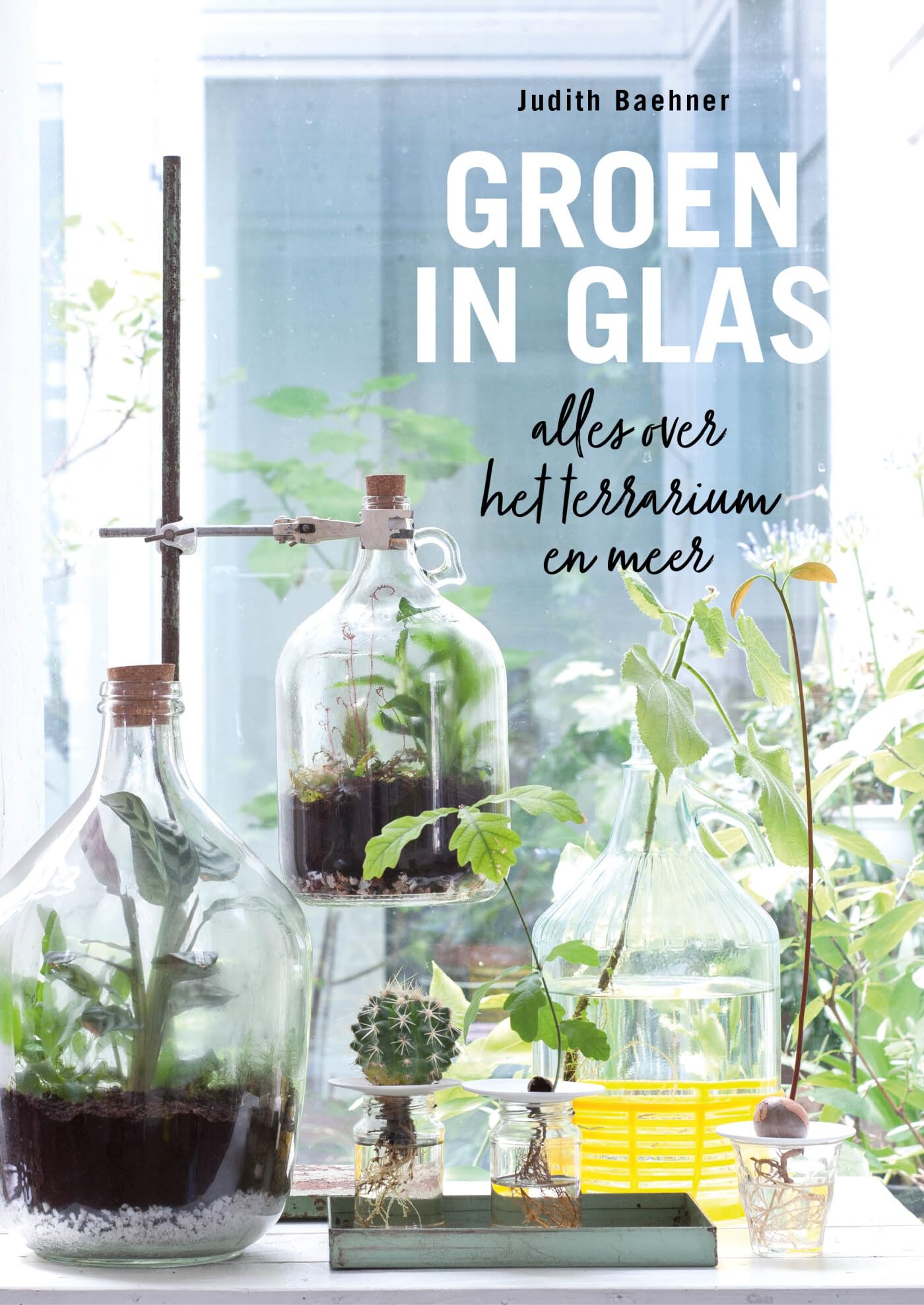 Groen in glas: alles over het terrarium en meer book