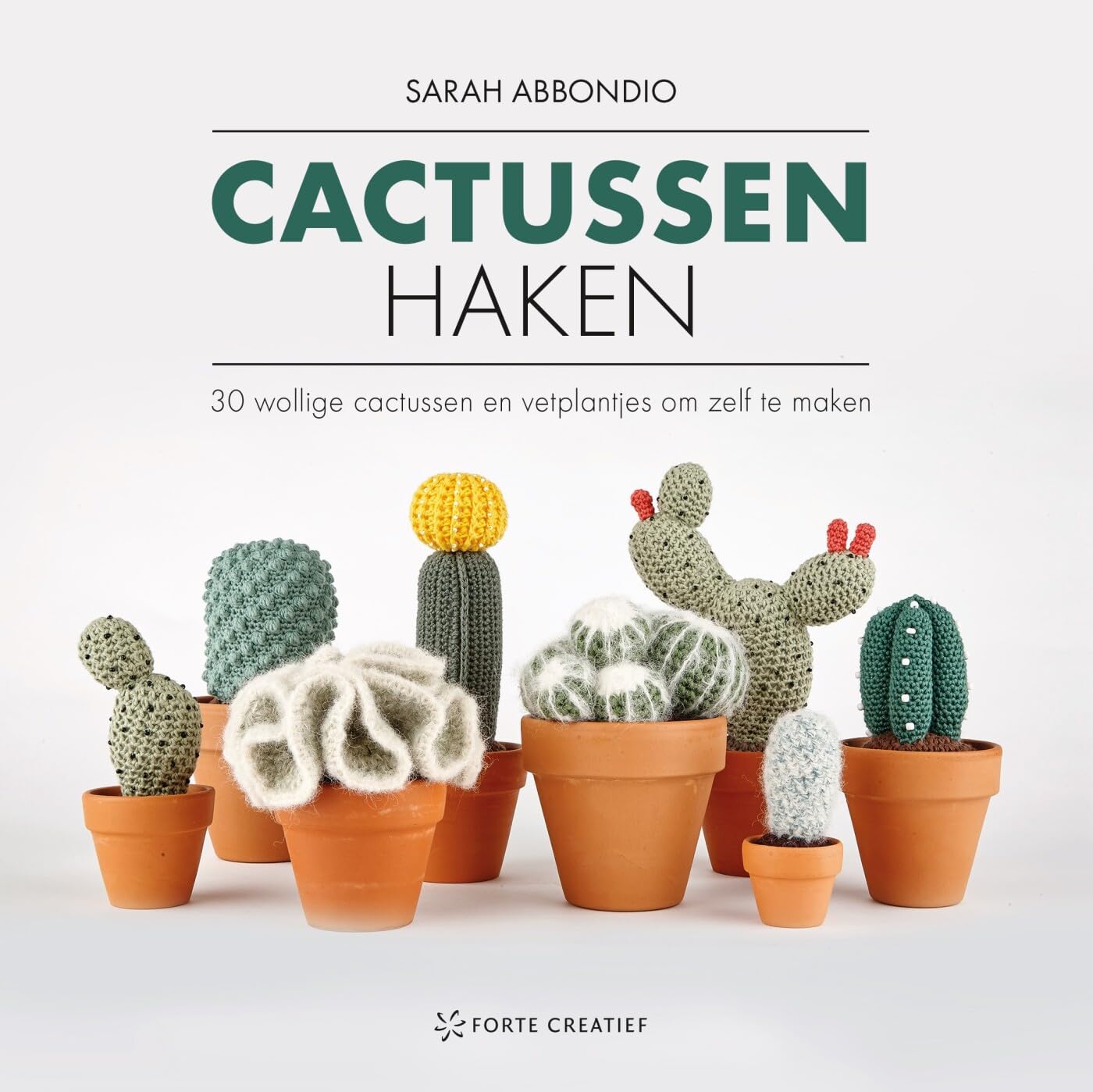 Cactussen haken: 30 wollige cactussen en vetplantjes om zelf te maken Garden & Plants