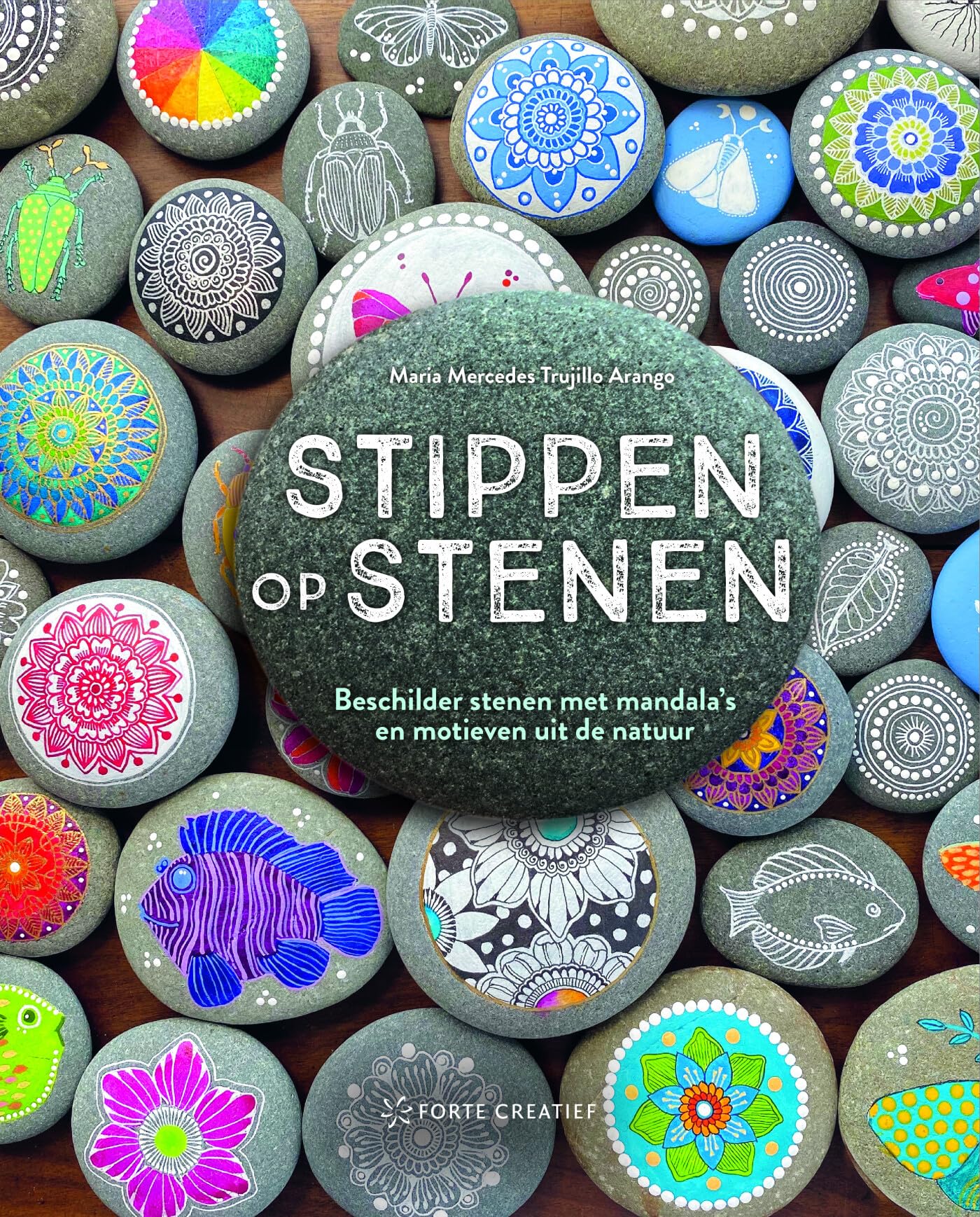 Stippen op stenen: creëer meer dan 40 mandala's en ontwerpen uit de natuur book