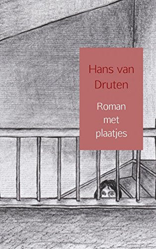 Roman met plaatjes Contemporary literature