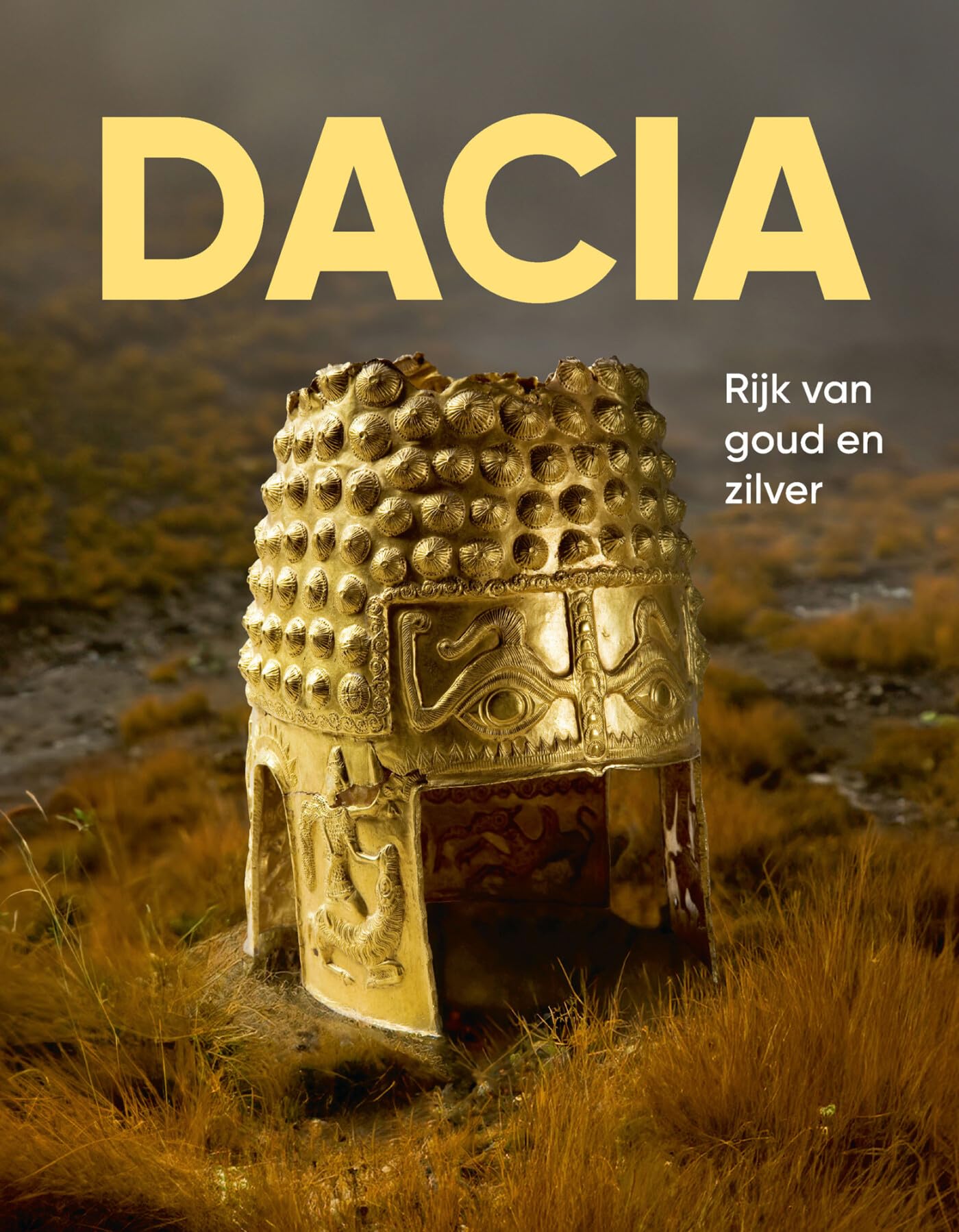 Dacia: rijk van goud en zilver book
