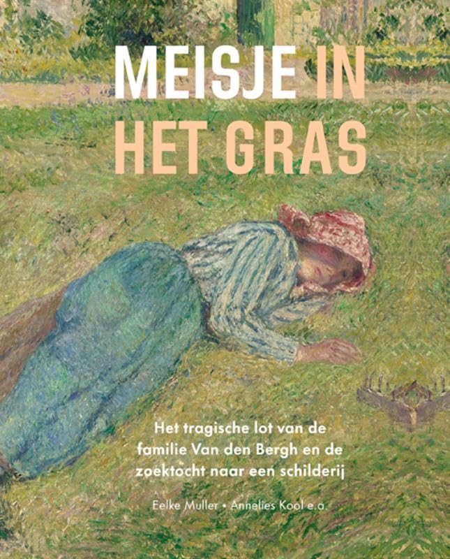 Meisje in het gras: Roof & Restitutie Deel II book