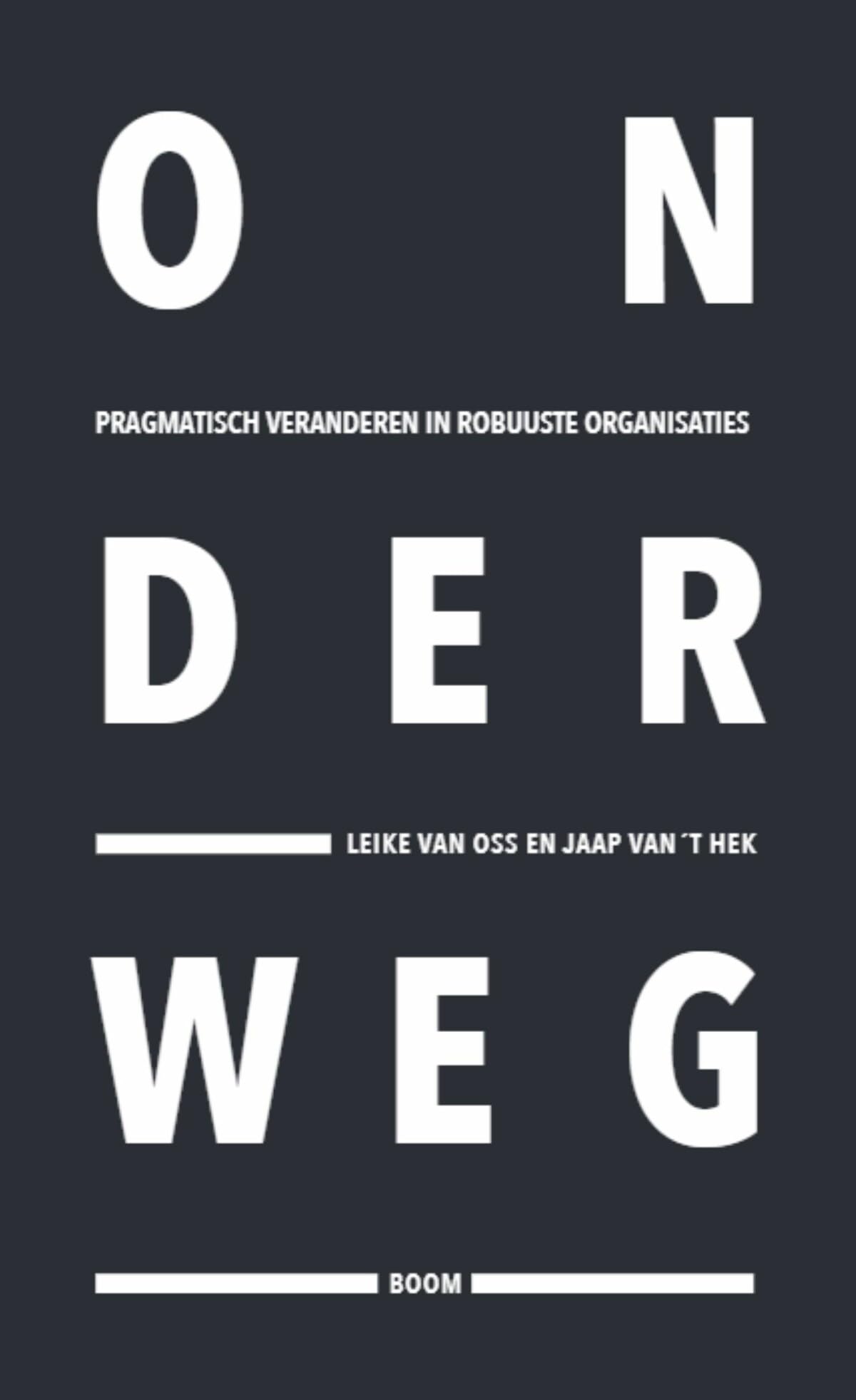 Onderweg: pragmatisch veranderen in robuuste organisaties Business, Finance & Career