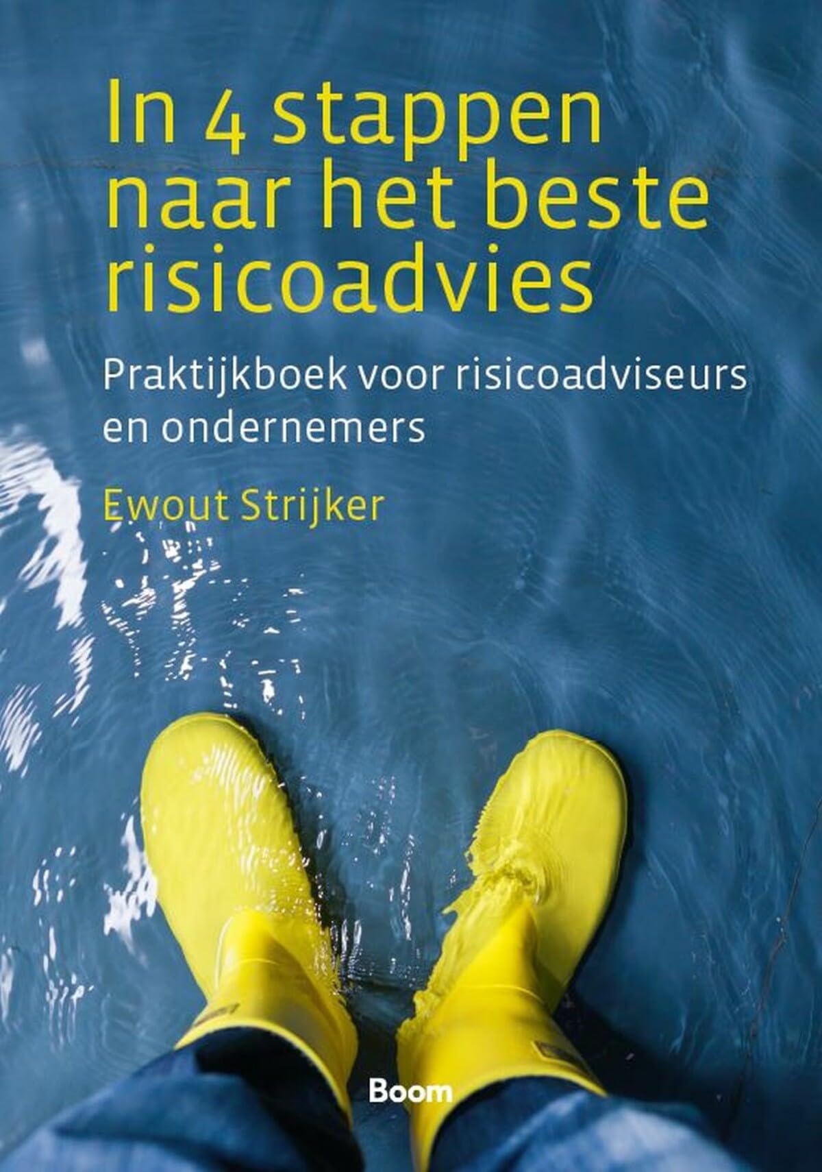 In 4 stappen naar het beste risicoadvies: praktijkboek voor risicoadviseurs en ondernemers book