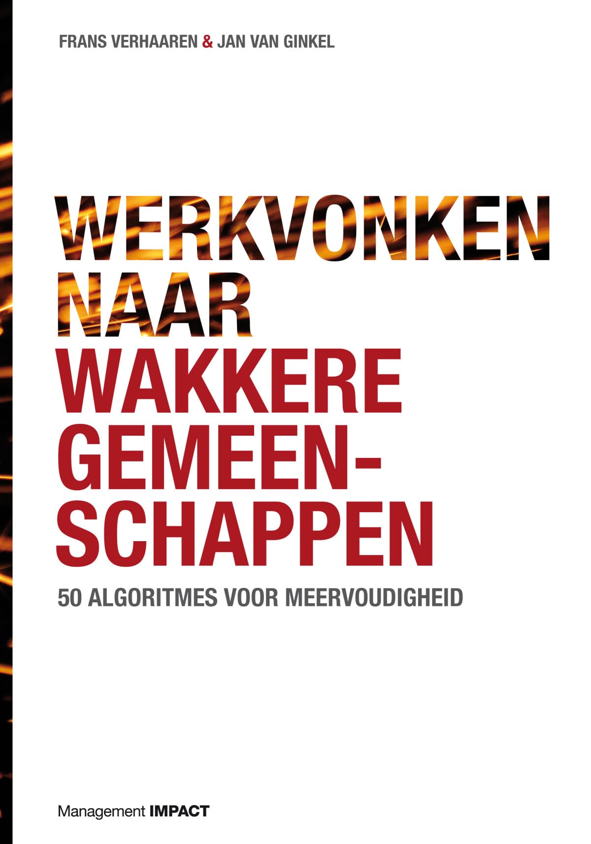 Werkvonken naar wakkere gemeenschappen: 50 algoritmes voor meervoudigheid book