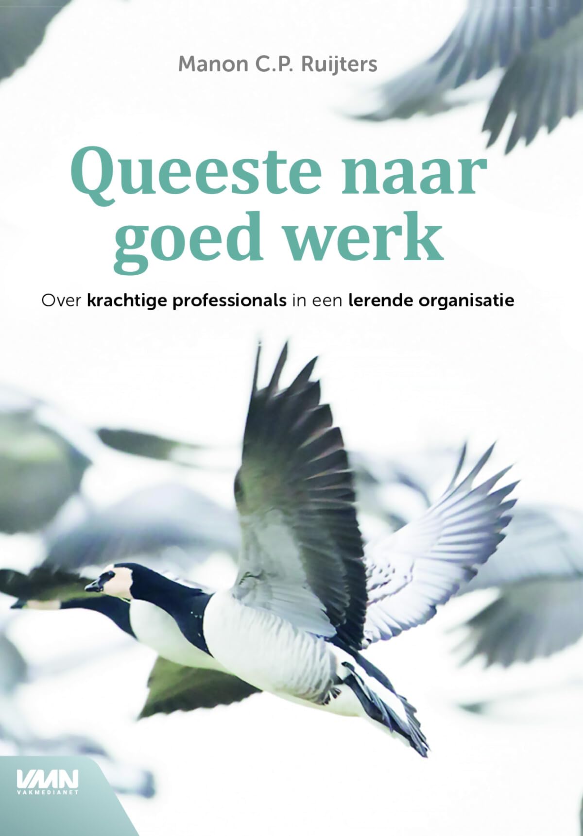 Queeste naar goed werk: over krachtige professionals in een lerende organisatie Business, Finance & Career