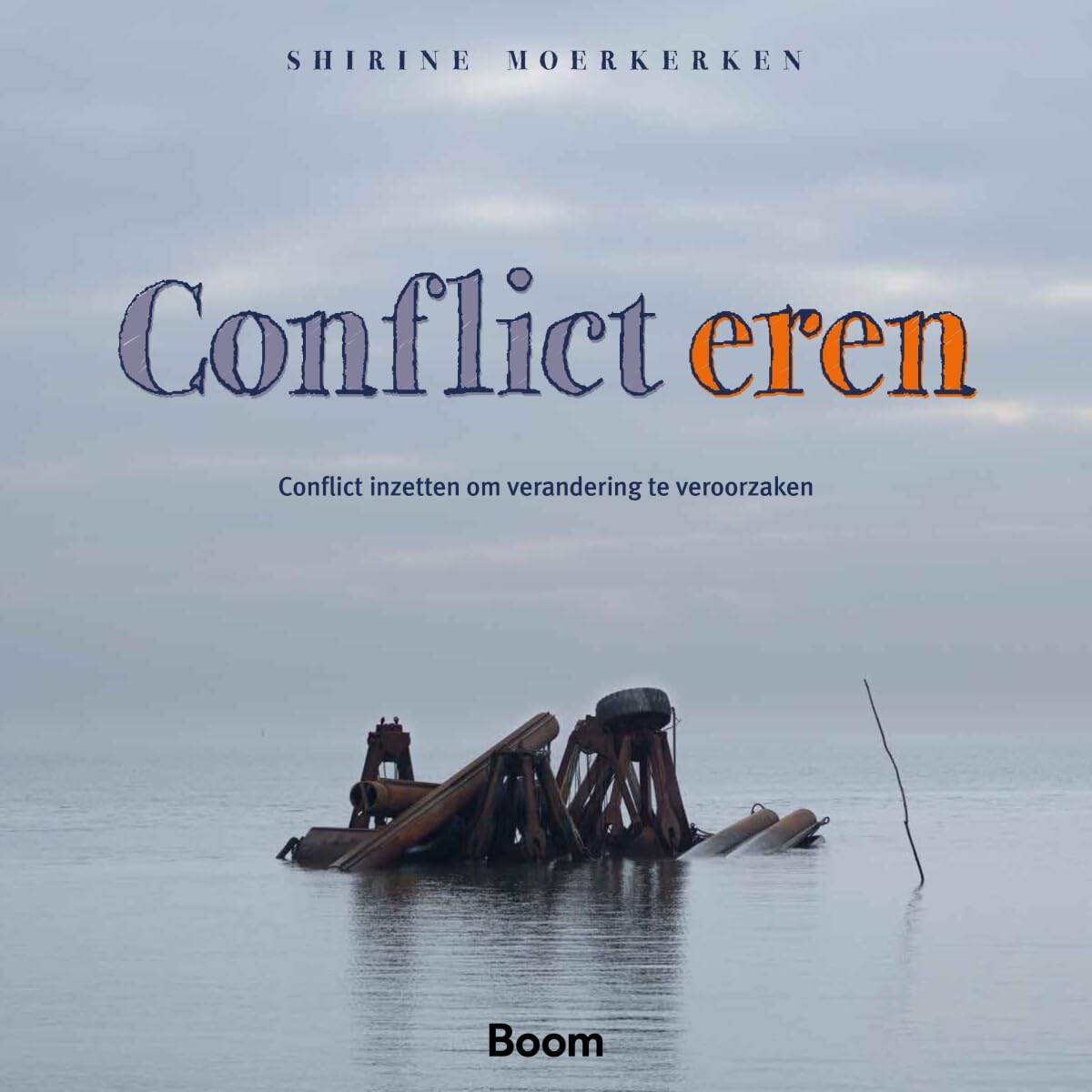 Conflict eren: Conflict inzetten om verandering te veroorzaken Business, Finance & Career