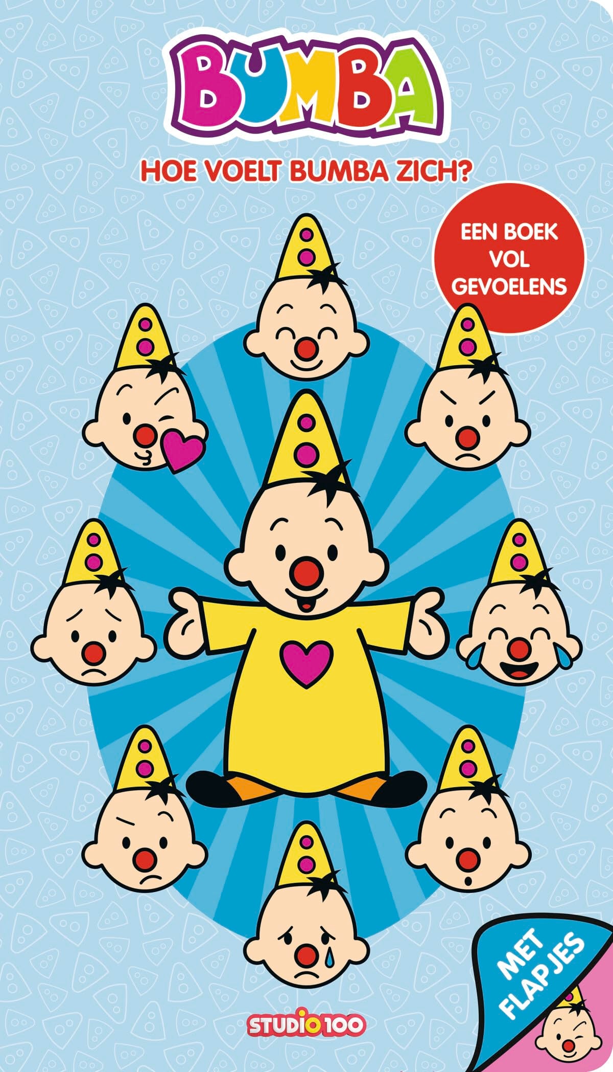 Hoe voelt Bumba zich?: een boek vol gevoelens : met flapjes book