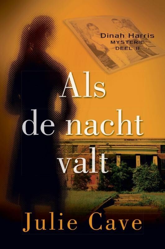 Als de nacht valt 2 (Dinah Harris-mysteries, 2) Contemporary literature