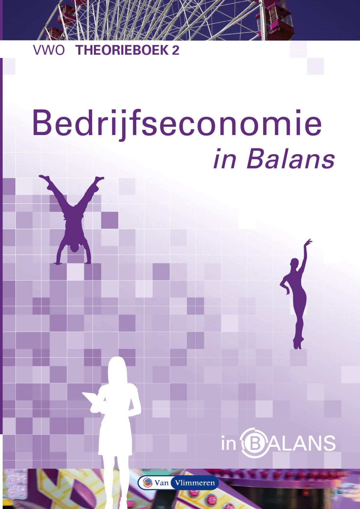 Bedrijfseconomie in Balans vwo theorieboek 2 book