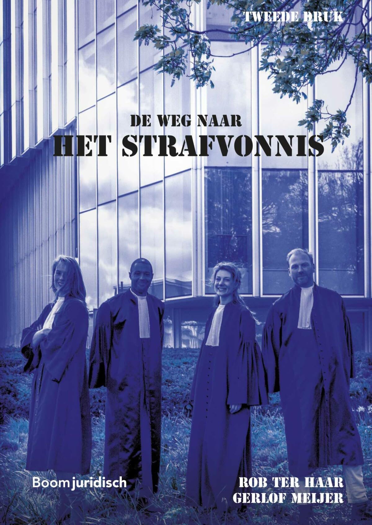 De weg naar het strafvonnis: Een handleiding voor procesdeelnemers book