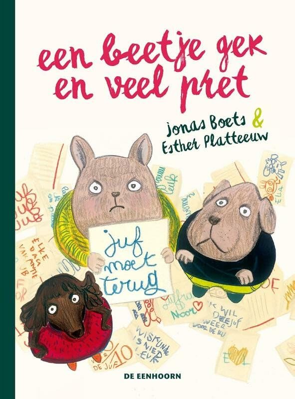 Een beetje gek en veel pret book