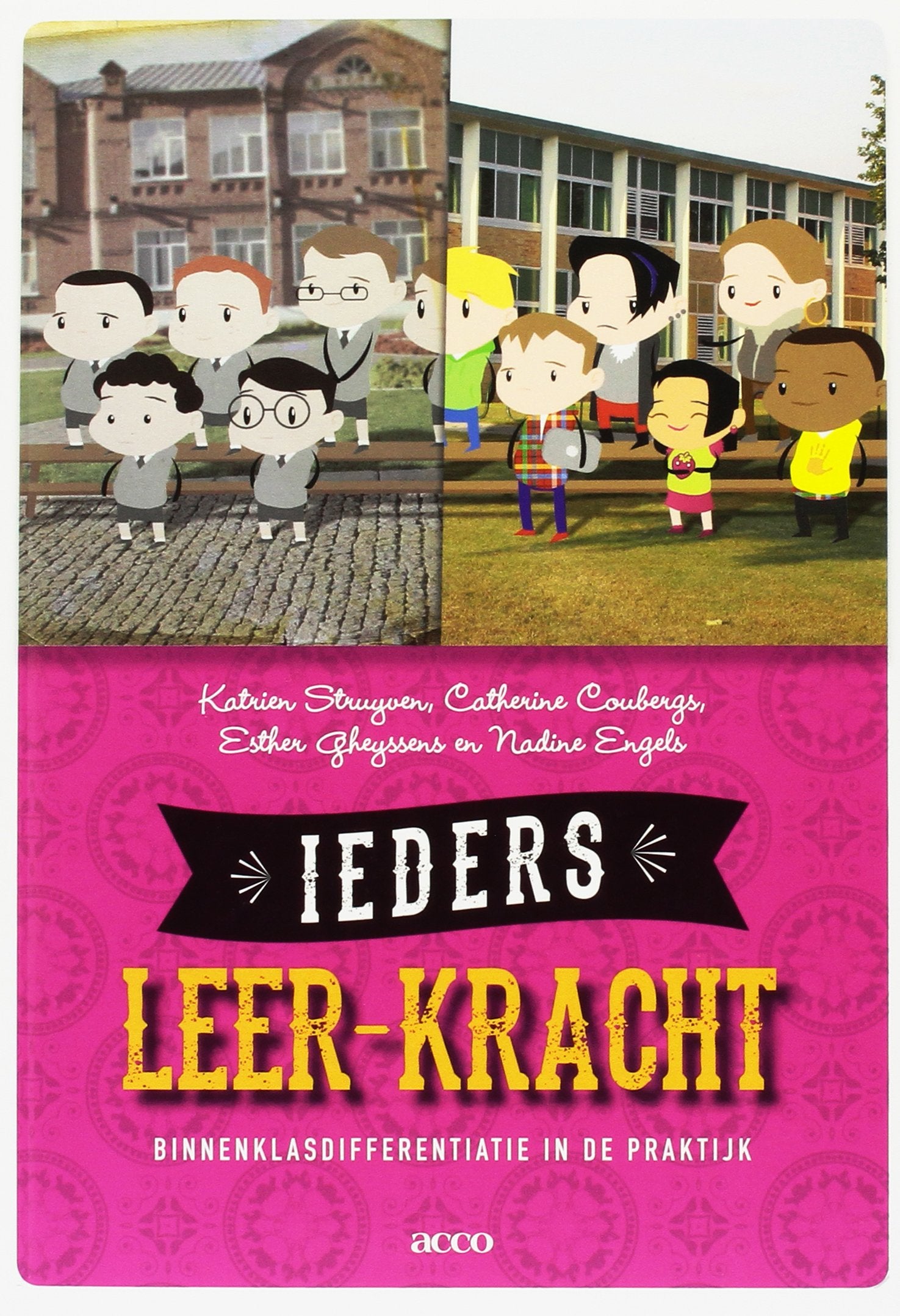 Ieders leer-kracht: binnenklasdifferentiatie in de praktijk book